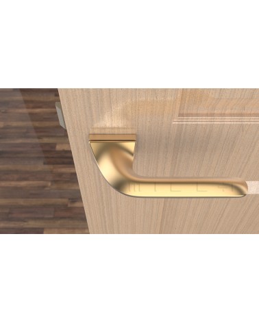 Poignée de porte sur plaque rectangulaire GLADIOLA poignée design couleur 4 vue de haut montée sur une porte