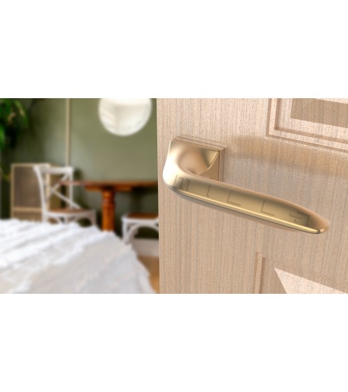 Poignée de porte sur plaque rectangulaire GLADIOLA poignée design couleur 4