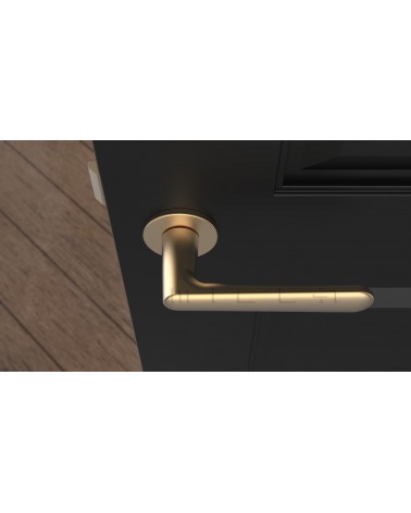 Poignée de porte sur plaque ronde ARIA poignée design couleur 2 vue de haut montée sur une porte