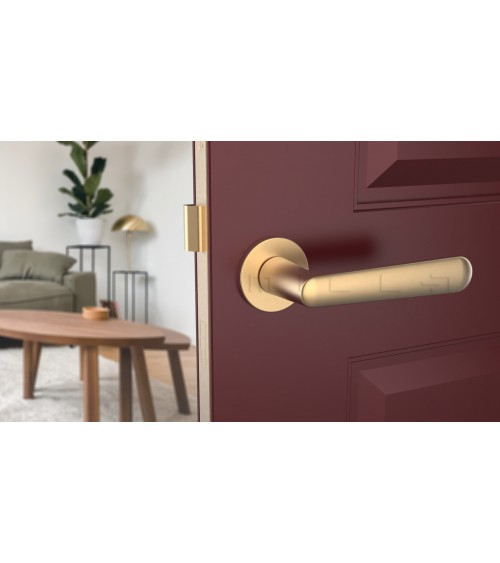 Poignée de porte sur plaque ronde ARIA poignée design couleur 2