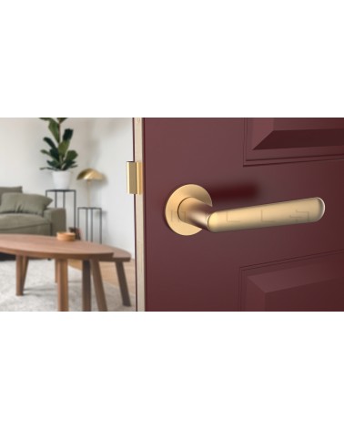 Poignée de porte sur plaque ronde ARIA poignée design couleur 2 vue de face montée sur une porte entrouverte