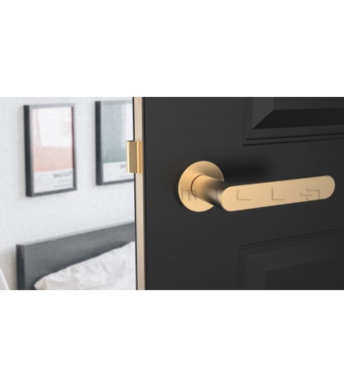 Poignée de porte ALORA poignée design couleur 1