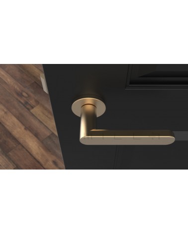 Poignée de porte Moderne ALORA poignée design couleur 1 vue de haut montée sur une porte