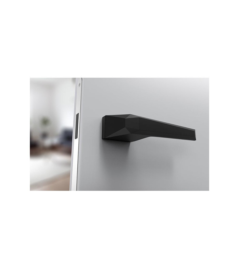 Black door handle on a white door - perfect for your renovation and fitting-out projects