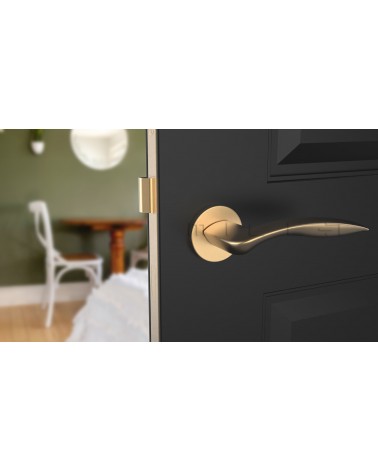 Poignée de porte sur plaque ronde ROBINE quincaillerie design couleur 1 vue de face montée sur une porte