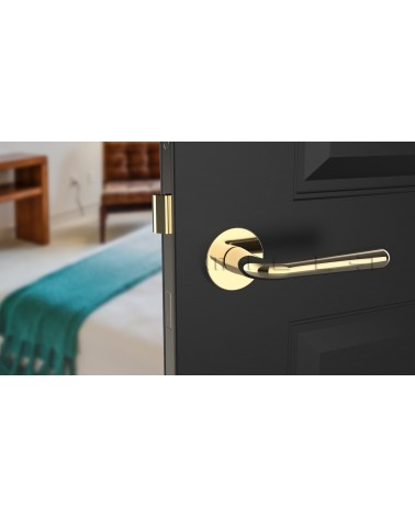 Poignée de porte en zamak IRGA poignée design couleur 5 vue de face montée sur une porte
