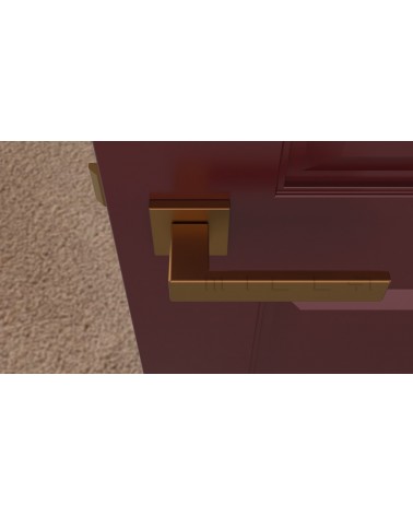 Poignée de porte en zamak PINA poignée design vue de haut montée sur une porte