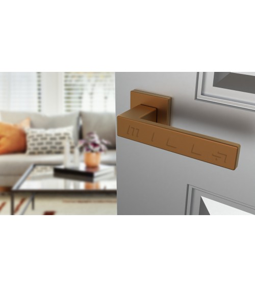 Poignée de porte en zamak PINA poignée design