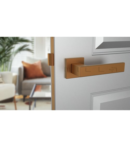 Poignée de porte en zamak PINA poignée design