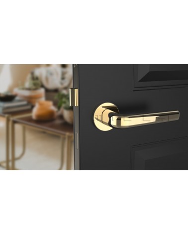 Poignée de porte en zamak INULLA poignée design vue de face montée sur une porte
