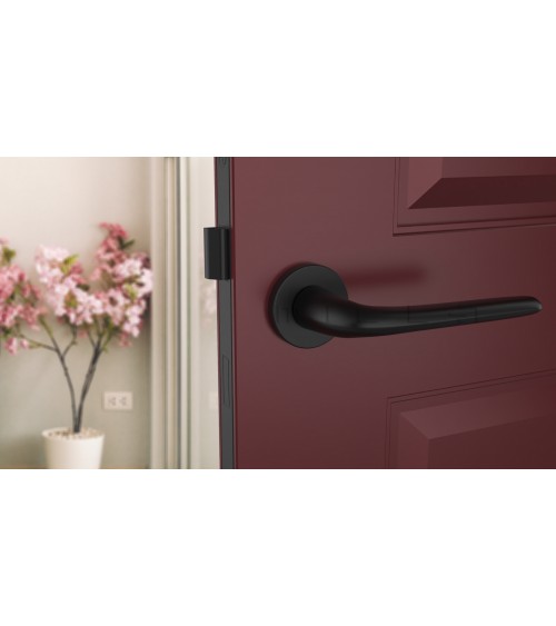 Poignée de porte AZALIA poignée design couleur 8