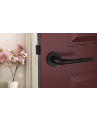 Poignée de porte AZALIA poignée design couleur 8 vue de face montée sur une porte