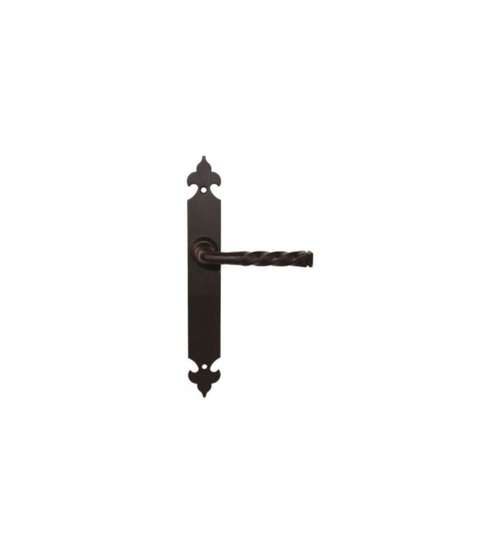 handle on longitudinal plate for traditional doors