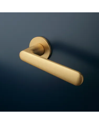 Poignée de porte Classique ARIA poignée design couleur 2 montée sur une porte