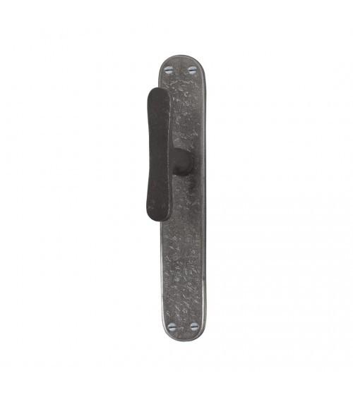 Poignée de porte chrome brossé sur plaque longitudinale originale PHTT 40 -  poignée design