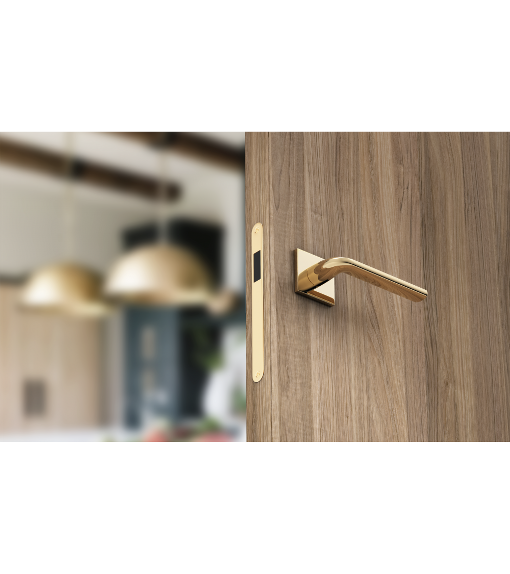 Classic trend door handle