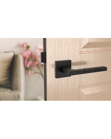 Poignée de porte PYROLA quincaillerie design couleur 5 vue de face montée sur une porte