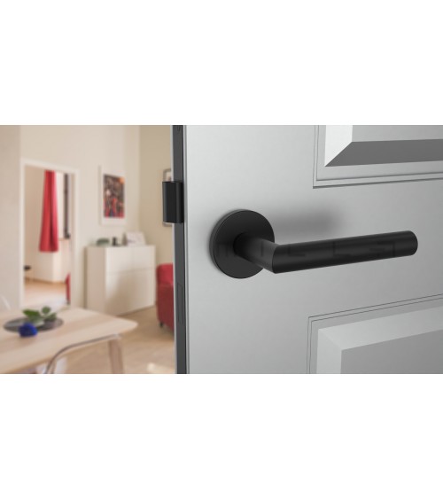Poignée de porte ARABIS poignée design couleur 1