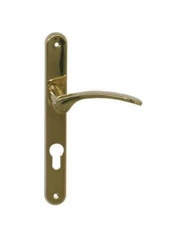 Poignée de porte Roma laiton poli verni