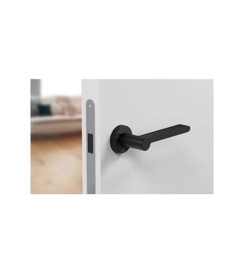 Poignée de porte en zamak Pandora poignée design