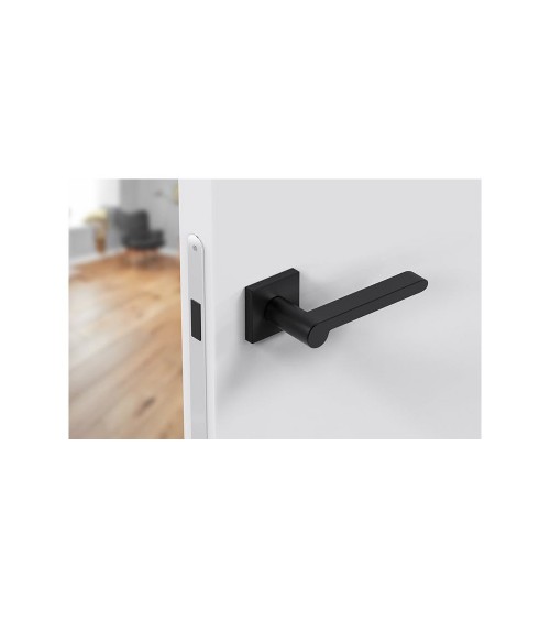 Poignée de porte zamak Pandora poignée design