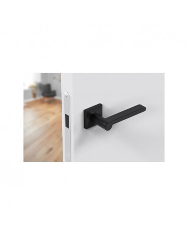Poignée de porte zamak Pandora poignée design vue de haut inclinée montée sur une porte