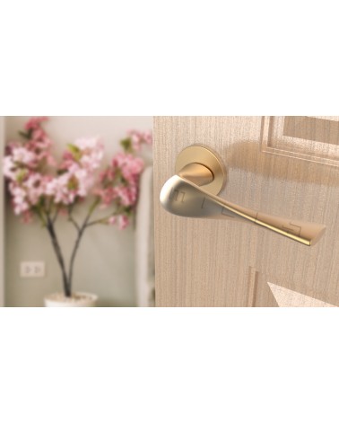 Poignée de porte zamak PETUNIA poignée design vue de haut inclinée montée sur une porte