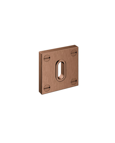Rosace de porte BAUHAUS Clé de chambre