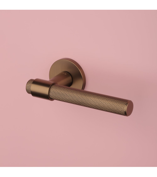 Poignée de porte en aluminium GOYA poignée design couleur 2