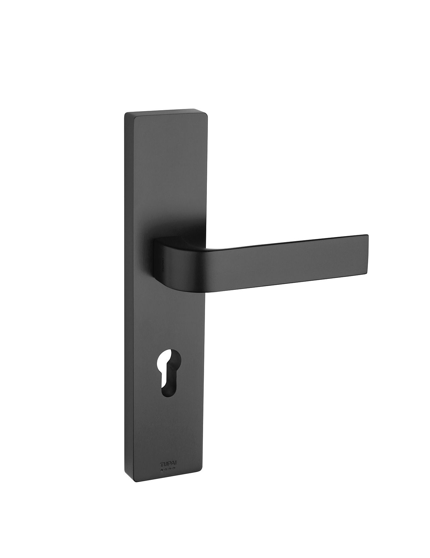 Exterior door handle on longitudinal plate in brushed nickel finish