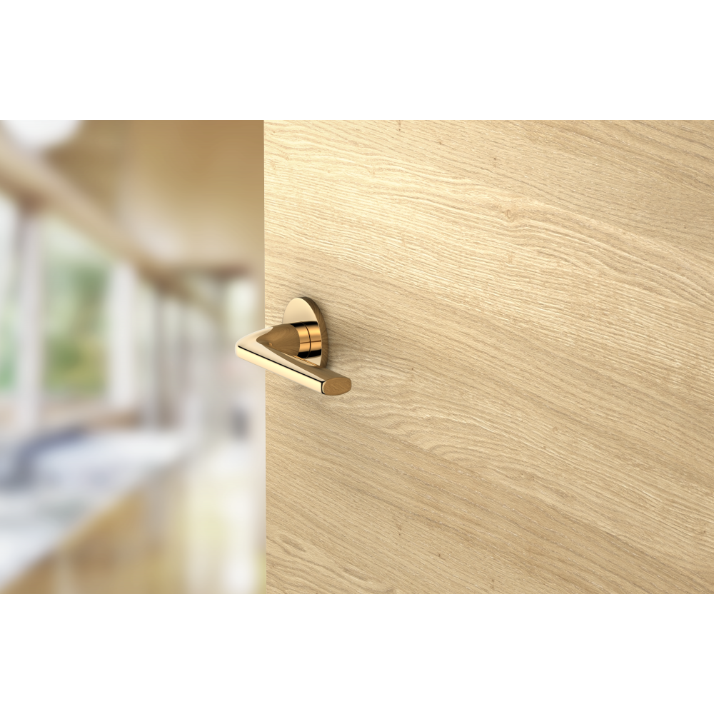 Elegant interior handle in a gold finish to add a bling touch to your wooden door