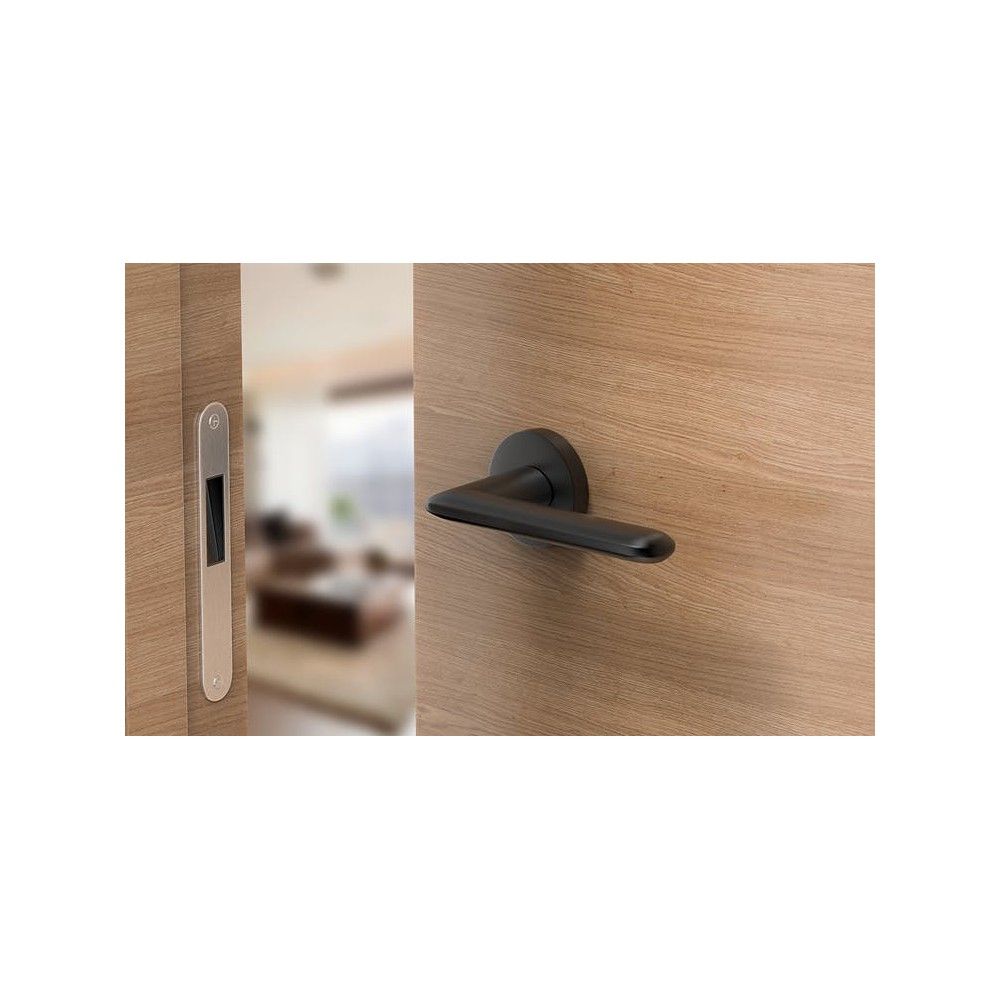 Modern black interior handle on a round plate on a light wood-effect door