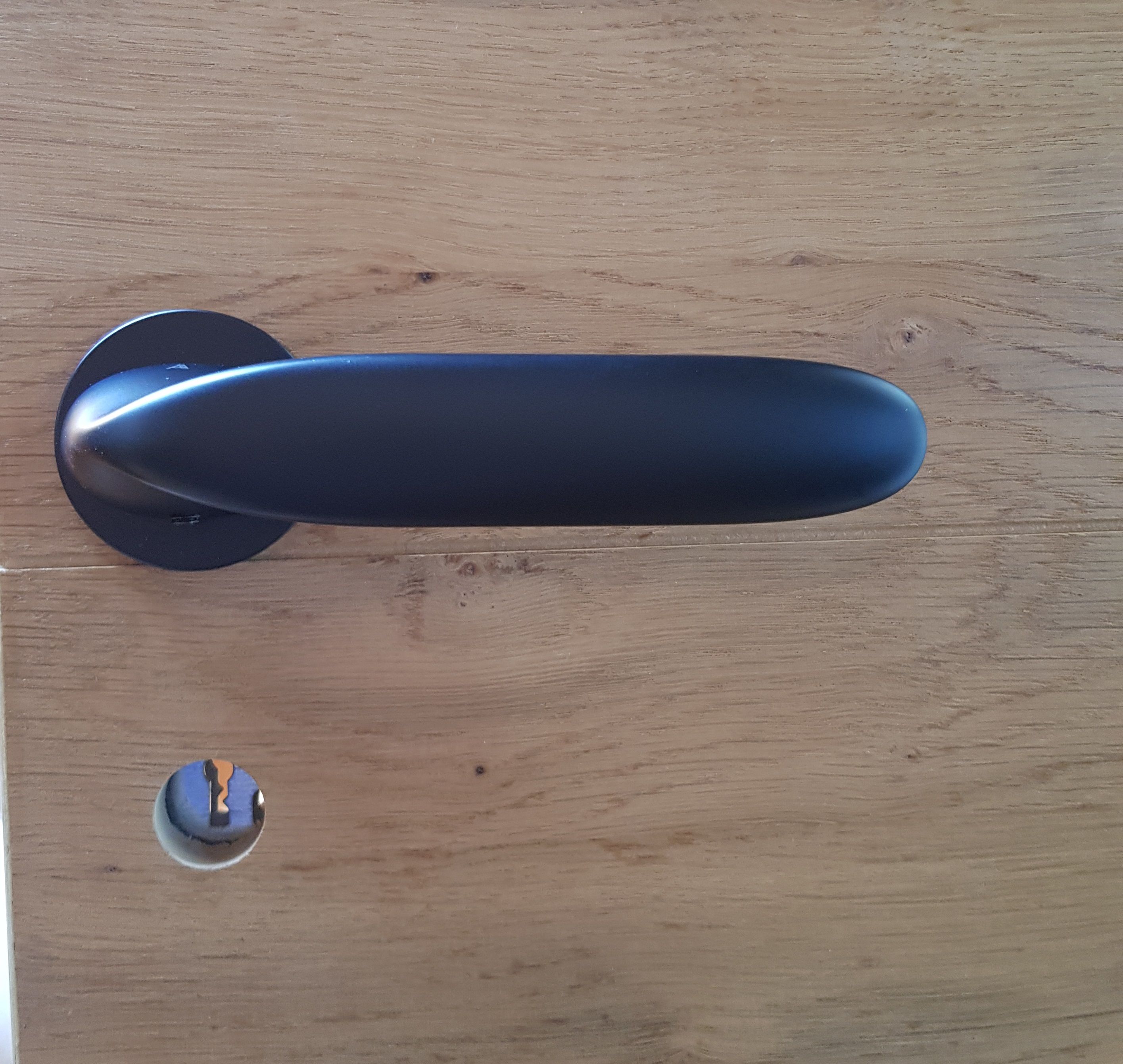 Black handle on an original round escutcheon fitted on a wooden door