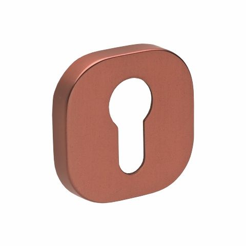Copper key lock rose to enhance the design of the original MAVIC handle