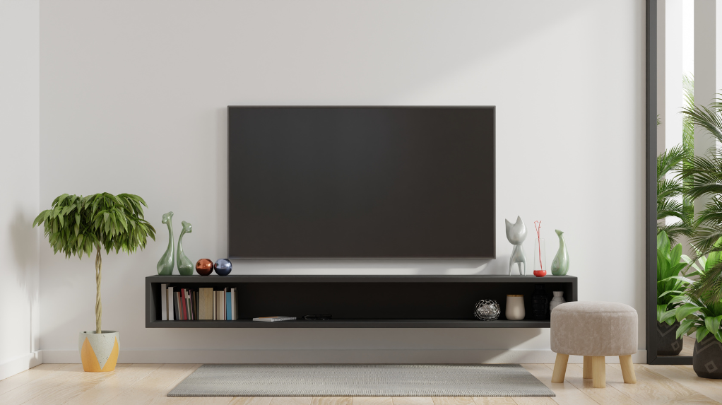 industrial TV unit