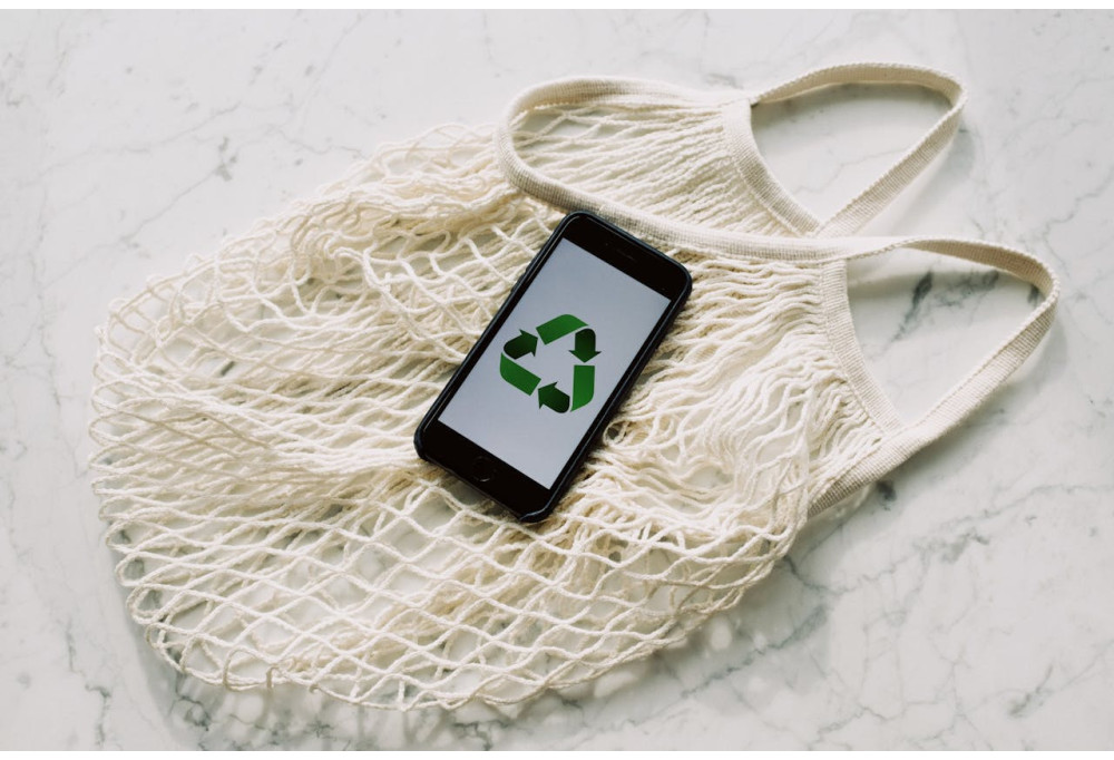 Eco-responsabilité : sélectionnez des matériaux durables pour votre intérieur